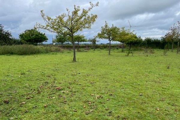 Grond te koop / Loksbergen