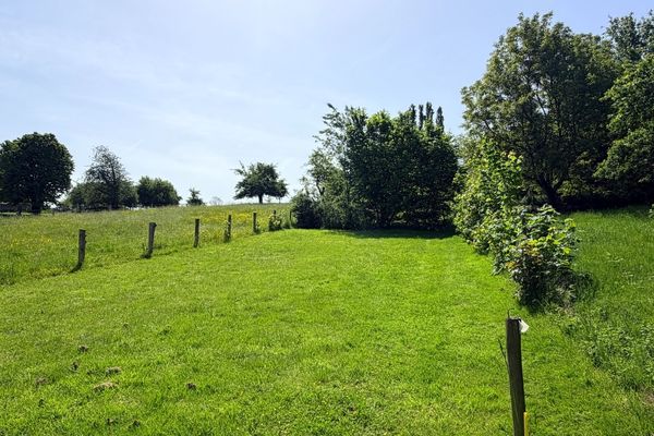 Huis te koop / Bertem