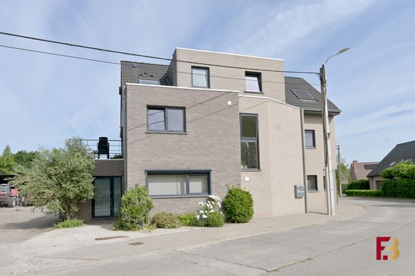 Estate main image