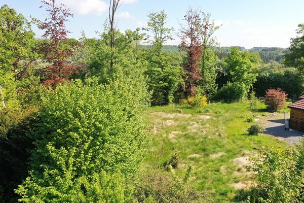 Grond
                                te koop
                                in Durbuy