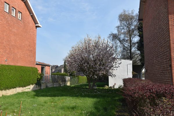 Terrain a vendre / Tongeren-Borgloon
