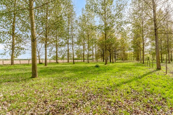 Overige te koop / Rummen