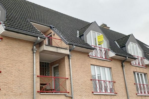 Appartement
                            te koop in Liedekerke