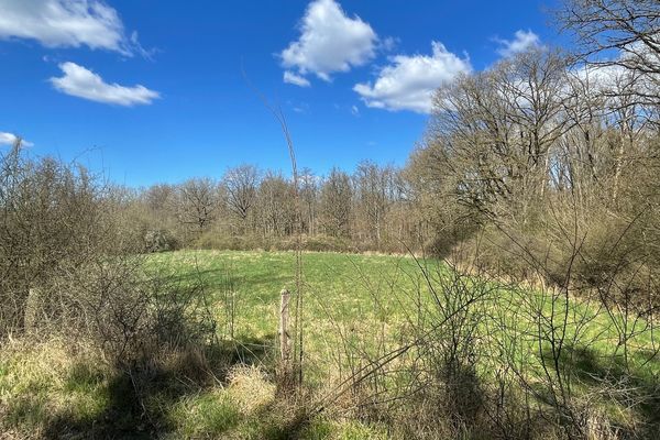 Grond te koop / Beauraing