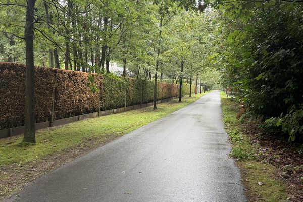 Grond te koop / Kapellen