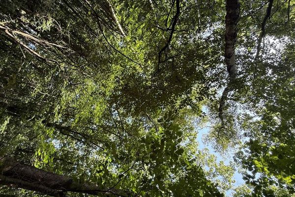 Grond te koop / Houthalen-Helchteren