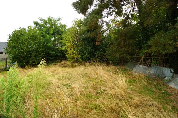 Grond te koop / Laakdal