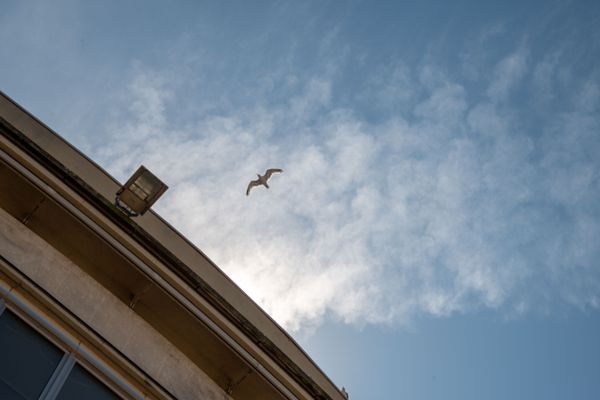 Appartement te koop / Oostende