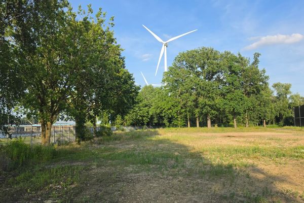Commercieel te koop / Hasselt