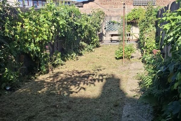 tuin