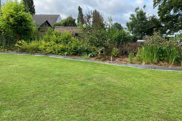tuin