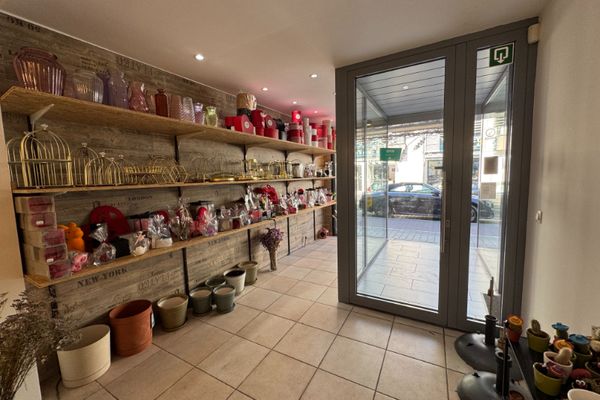 Commercieel te koop / Brasschaat