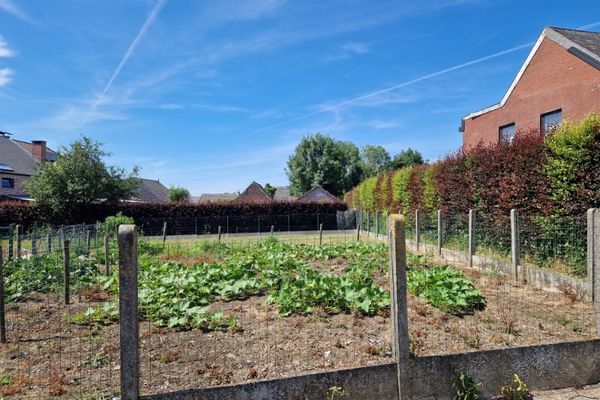 Bouwgrond
                            te koop in Haaltert