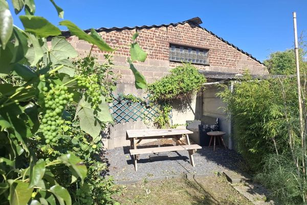 tuin