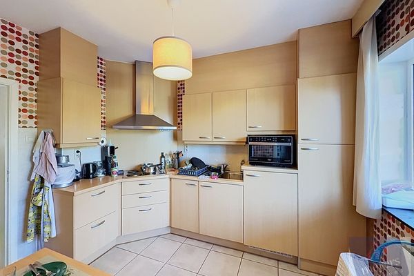 Appartement te huur / Hasselt