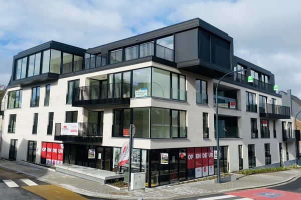 Handelspand
                            verkocht in Zwevegem