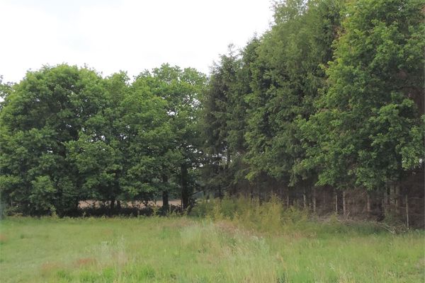 Huis verkocht / Beverlo