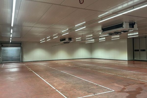 Industrieel te koop / Maasmechelen