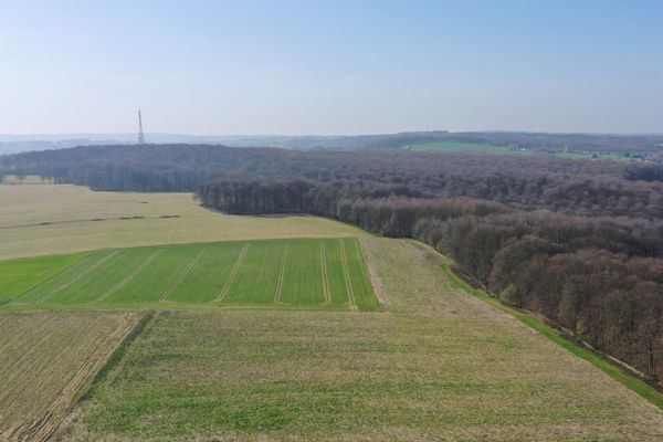 Grond lijfrente / Brakel