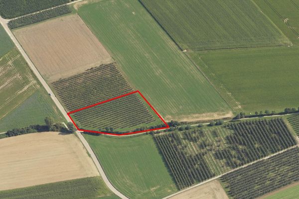 Grond te koop / Sint-Truiden