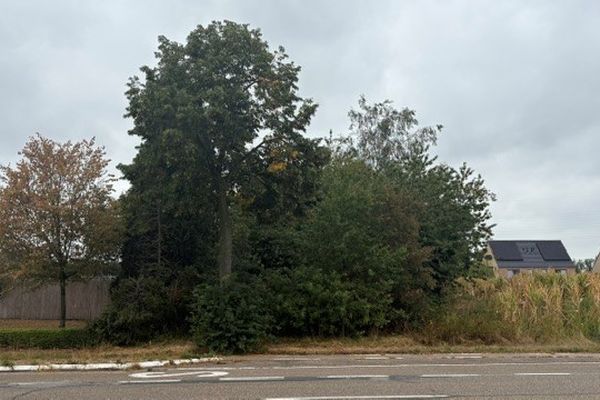 Grond
                                te koop
                                in Dilsen-Stokkem