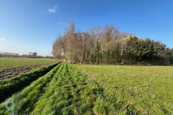 Bosgrond
                            te koop in Balegem