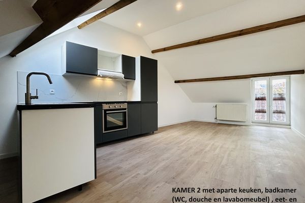 Uitzonderlijke woning
                                te huur in Leuven