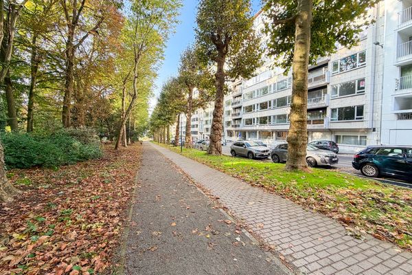 Appartement
                            te koop in Gent