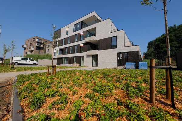 Estate main image