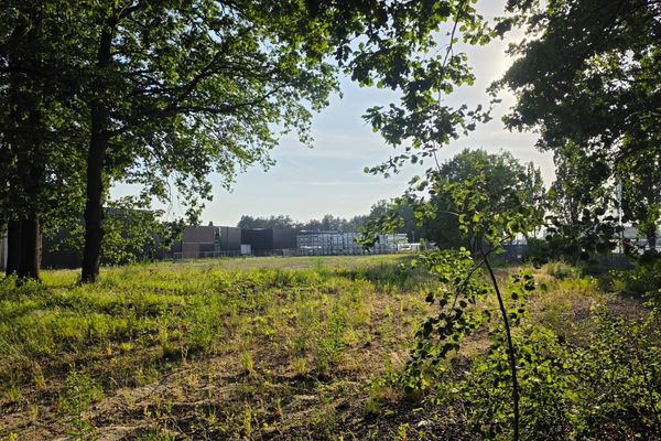 Commercieel te koop / Hasselt