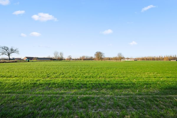 Huis te koop / Berlaar