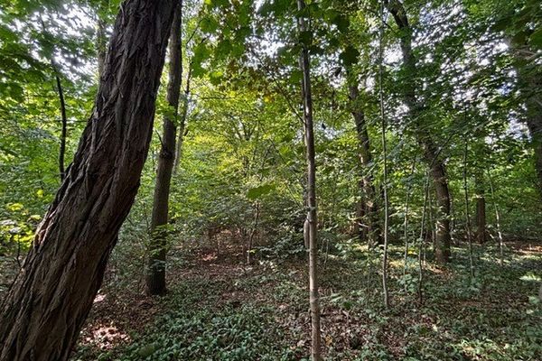 Grond optie koop / Kersbeek-Miskom