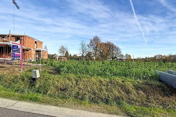 Grond te koop / Diepenbeek