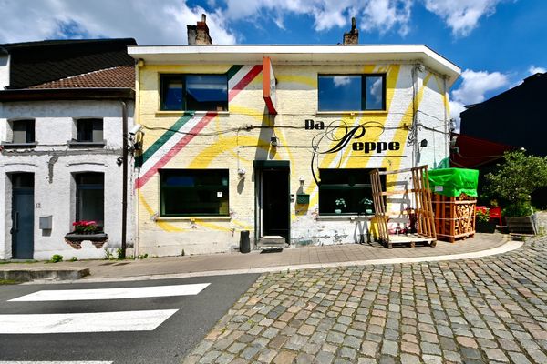 Handelspand
                            te koop in Willebroek