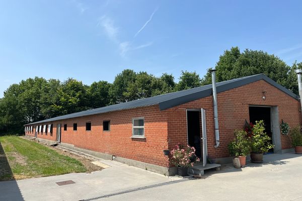 Magazijn
                            te huur in Waregem