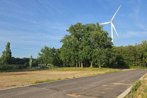 Commercieel te koop / Hasselt
