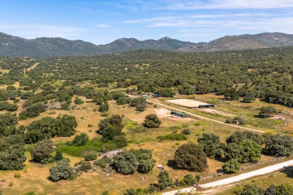 Woning
                                te koop
                                in Madrid