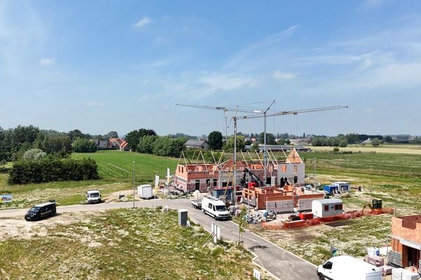 Grond
                                te koop
                                in Koekelare