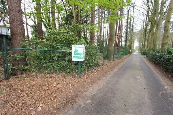 Grond
                                te koop
                                in Jabbeke