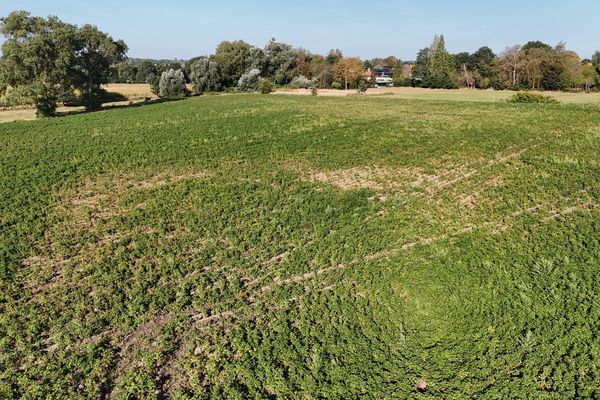 Grond
                                verkocht
                                in Koekelare