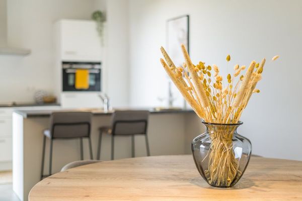 Assistentiewoning  te koop / Eeklo