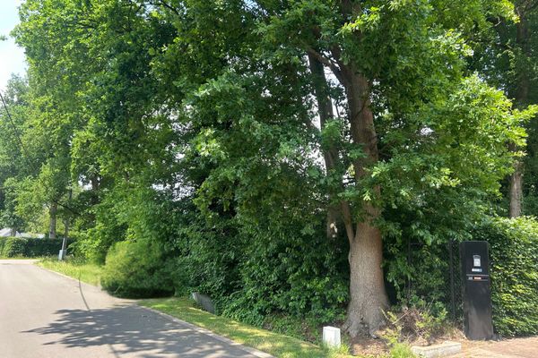 Bouwgrond
                            te koop in Brecht