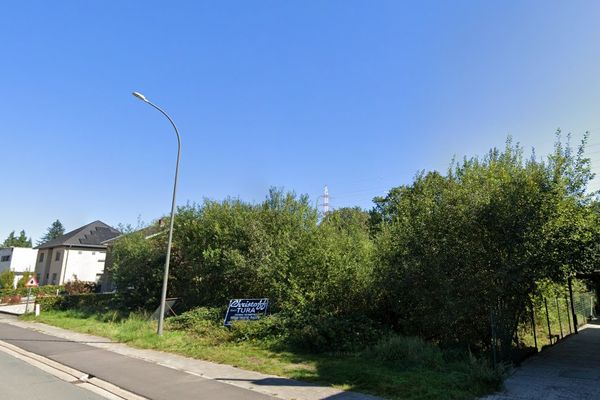 Estate main image